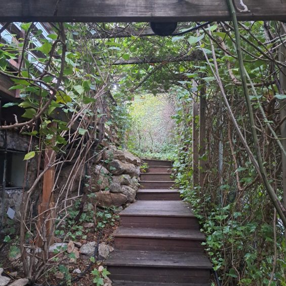 WhatsApp Image 2025-01-13 at 13.03.11